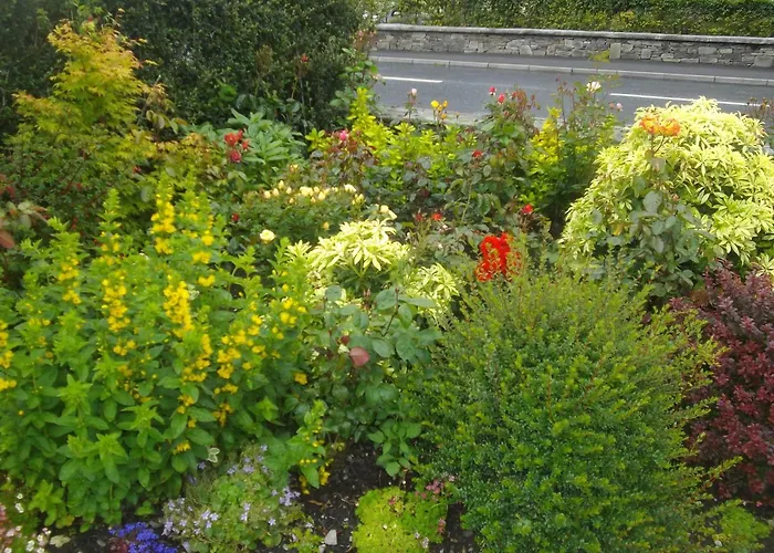 Bed & Breakfast Quay West Ireland 3*