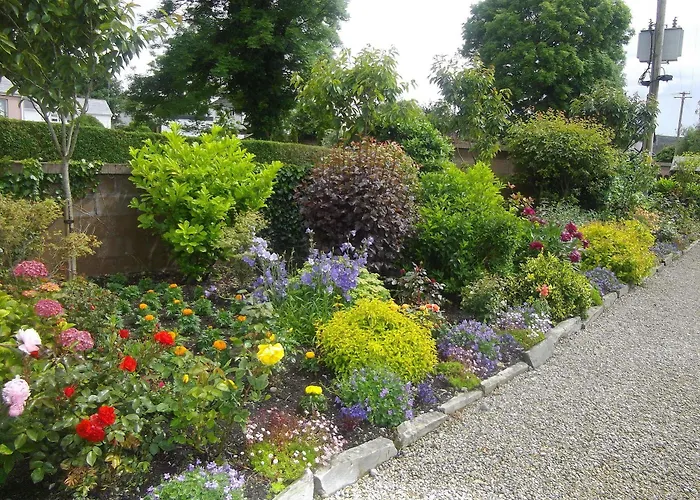 Quay West Ireland Bed & Breakfast