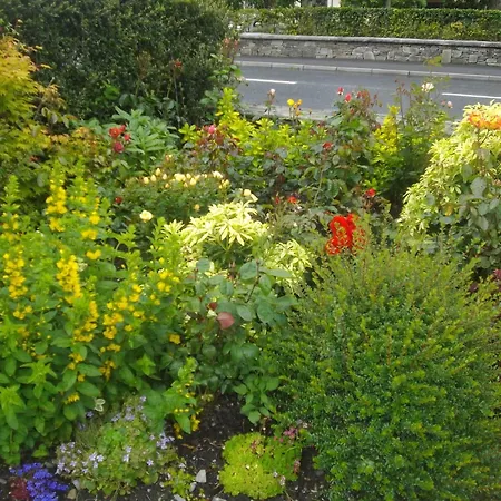 Alojamento de Acomodação e Pequeno-almoço Quay West Ireland 3*