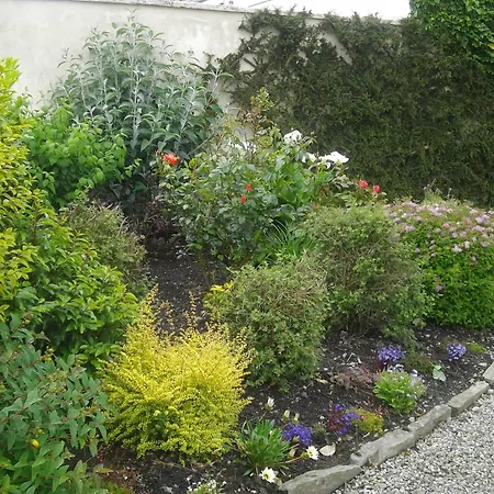 Alojamento de Acomodação e Pequeno-almoço Quay West Ireland Westport