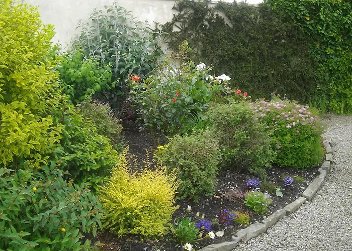 Bed and breakfast Quay West Ireland Westport